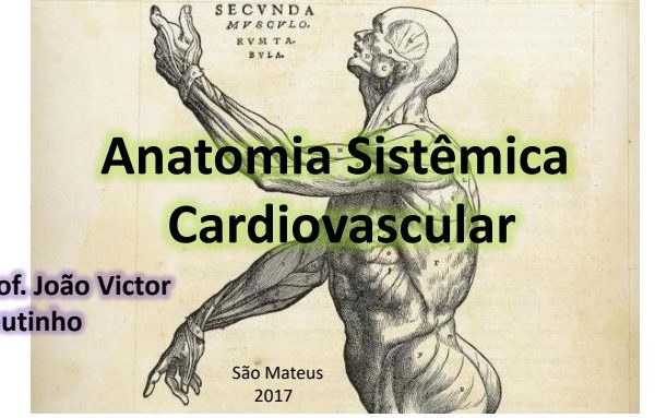 Anatomia Sistêmica Cardiovascular