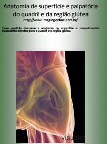 Anatomia de Superfície e Palpatória  do Quadril e da Região Glútea