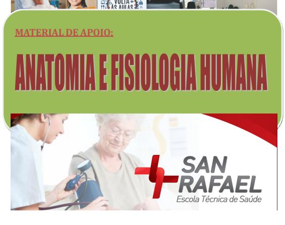 Anatomia e Filosogia Humana