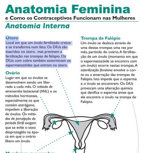 Anatomia Feminina e Como os Contraceptivos Funcionam nas Mulheres