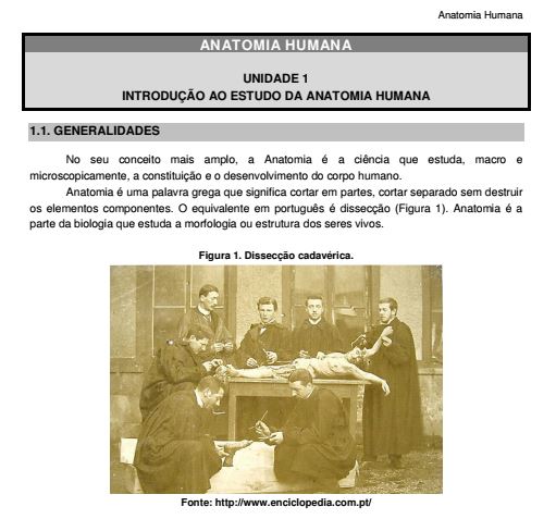 Anatomia Humana