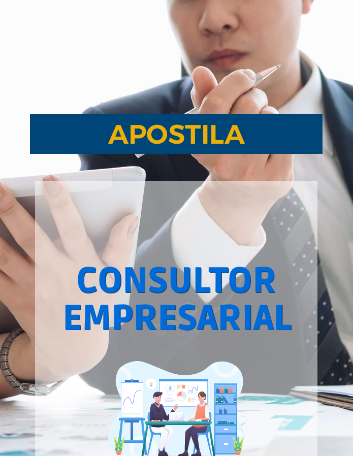Consultor Empresarial
